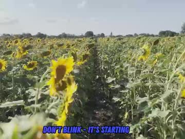 sunflower0907 — 2025-09-09 08:21 sunflower0907 — 2025-09-09 08:21