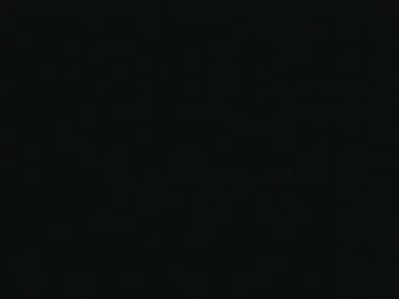 whitehead_lion — 2025-08-20 19:50 whitehead_lion — 2025-08-20 19:50